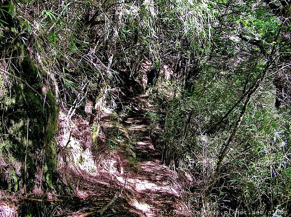 八通關山登山口往中央金礦山屋A.jpg