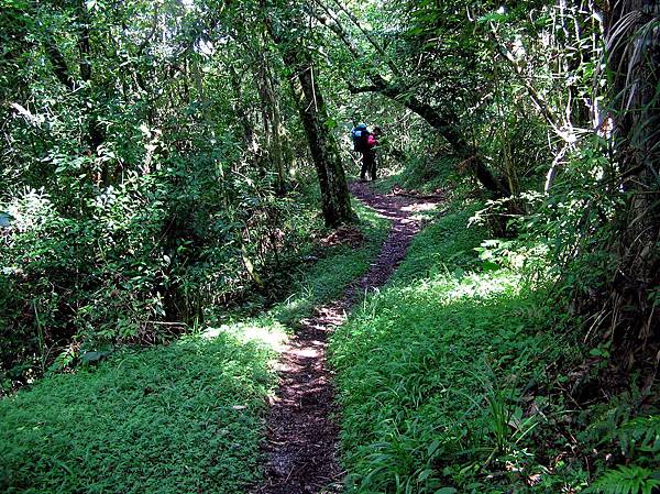 樂樂山屋往雲龍