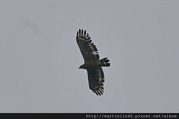 1L2A8931.JPG 1L2A8931.JPG