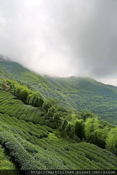 1L2A8946.JPG 1L2A8946.JPG