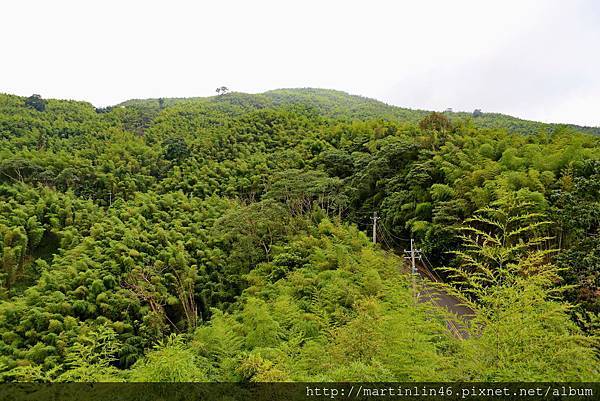 1L2A8947.JPG 1L2A8947.JPG