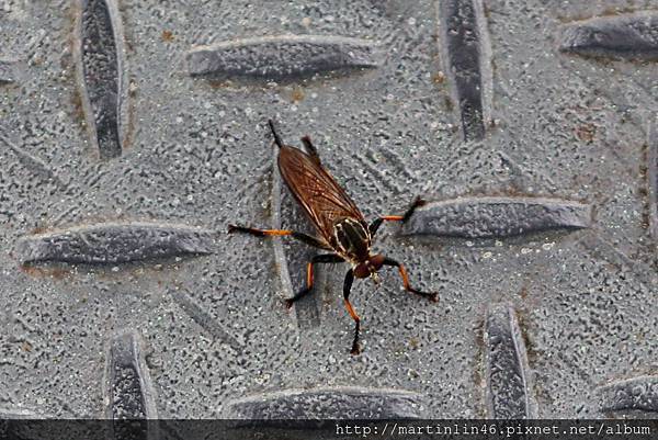 1L2A8949.JPG 1L2A8949.JPG