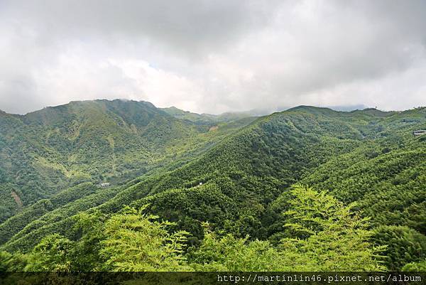 1L2A8951a.jpg 1L2A8951a.jpg