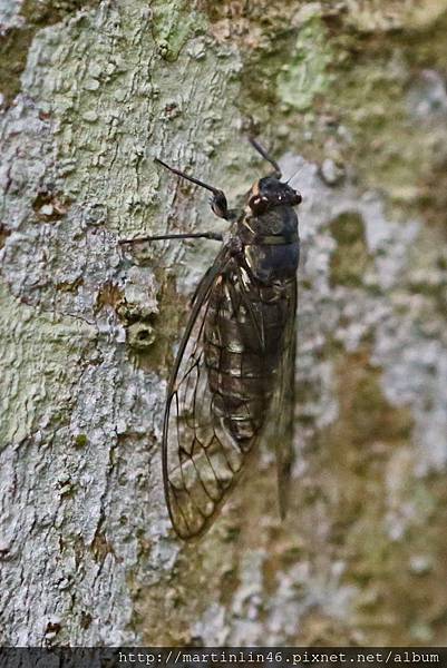 1L2A8962.JPG 1L2A8962.JPG