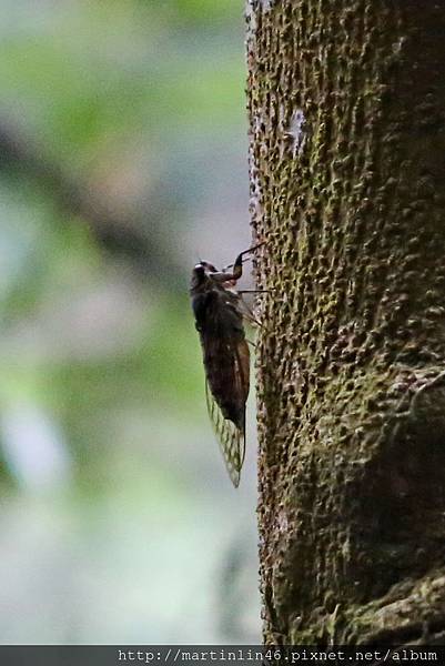 1L2A8967.JPG 1L2A8967.JPG