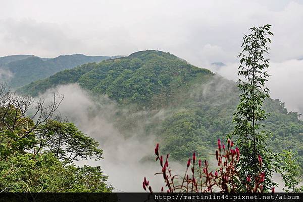 1L2A8980.JPG 1L2A8980.JPG