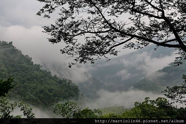 1L2A8981.JPG 1L2A8981.JPG