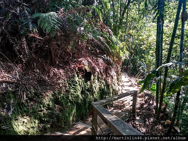 CAM00002.jpg CAM00002.jpg