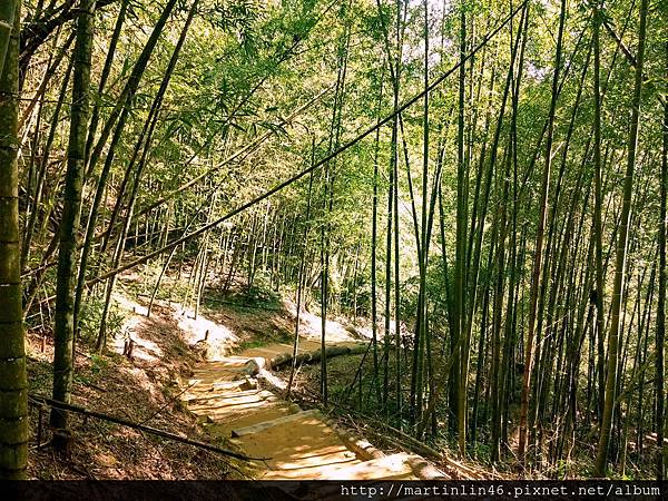 CAM00004.jpg CAM00004.jpg