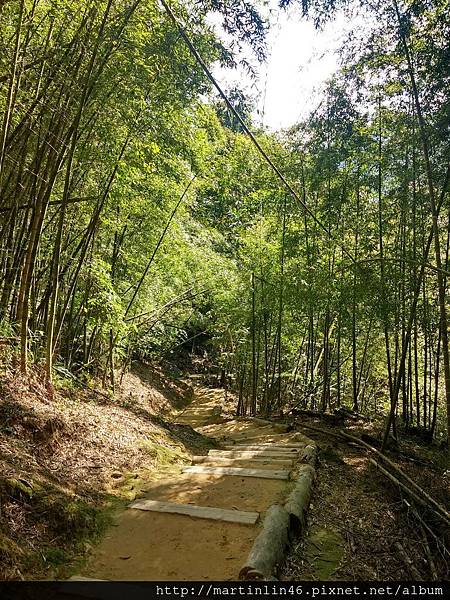 CAM00005.jpg CAM00005.jpg