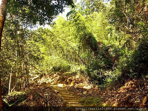 CAM00006.jpg CAM00006.jpg