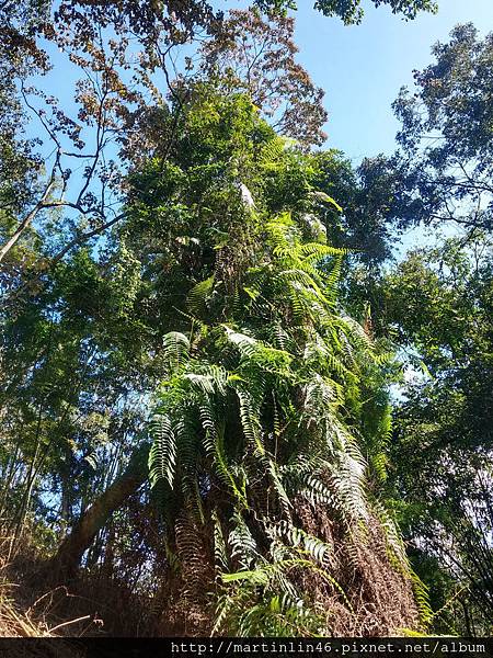 CAM00009.jpg CAM00009.jpg