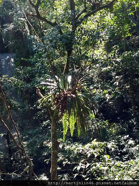 CAM00010.jpg CAM00010.jpg