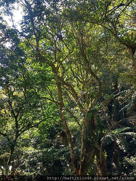 CAM00011.jpg CAM00011.jpg