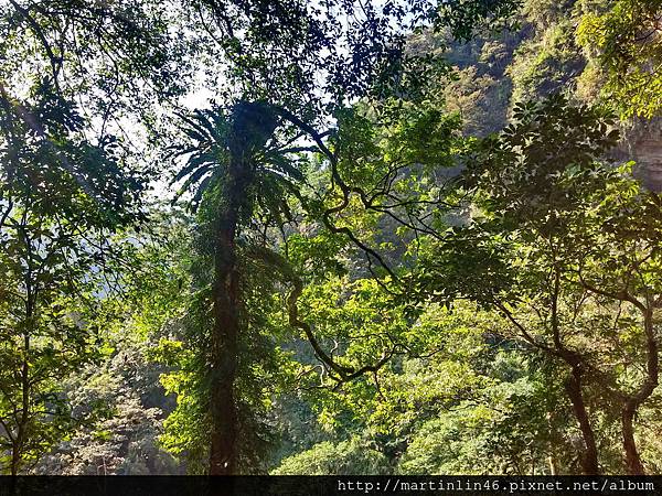 CAM00050.jpg CAM00050.jpg