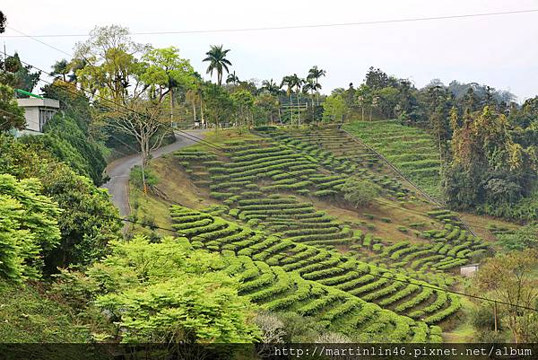 1L2A6344A.jpg 1L2A6344A.jpg