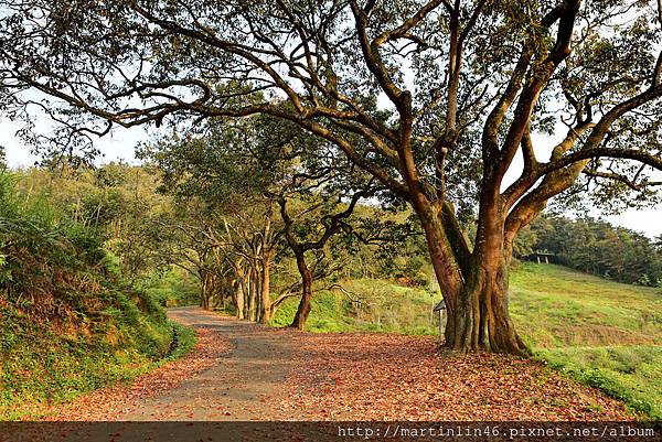 1L2A6348A.jpg 1L2A6348A.jpg