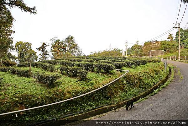 1L2A6362A.jpg 1L2A6362A.jpg