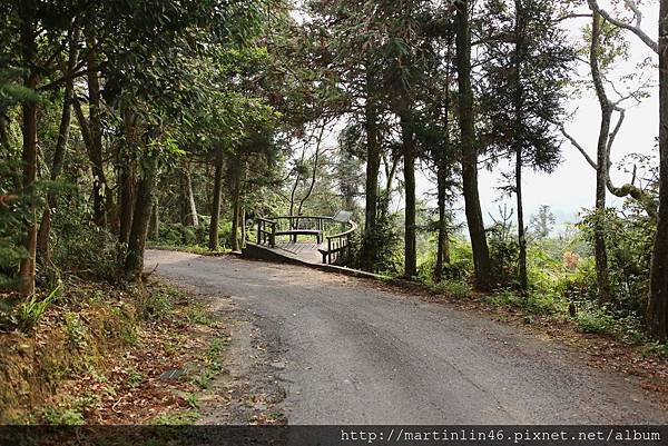 1L2A6373.jpg 1L2A6373.jpg