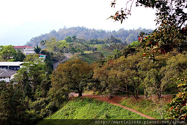 1L2A6380A.jpg 1L2A6380A.jpg