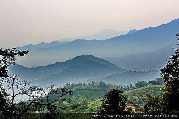 1L2A6382A.jpg 1L2A6382A.jpg