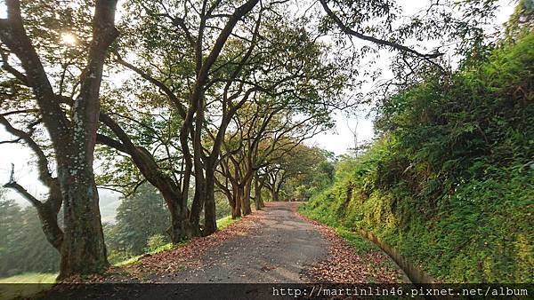 DSC_0293a.jpg DSC_0293a.jpg