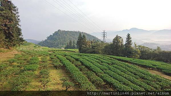 DSC_0301a.jpg DSC_0301a.jpg