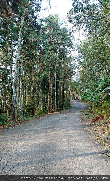 DSC_0307a.jpg DSC_0307a.jpg