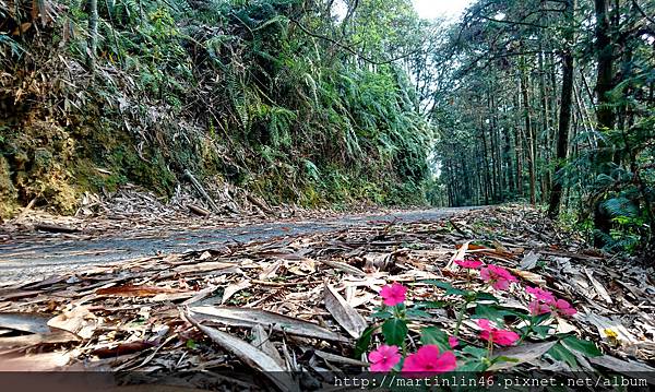 DSC_0309A.jpg DSC_0309A.jpg