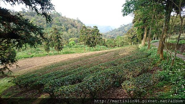 DSC_0348.jpg DSC_0348.jpg