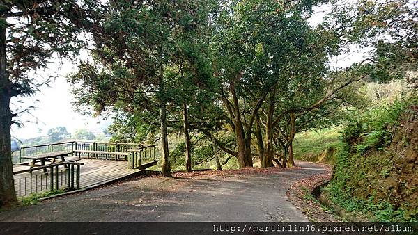 DSC_0352.jpg DSC_0352.jpg