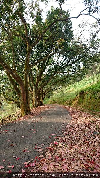 DSC_0362.jpg DSC_0362.jpg