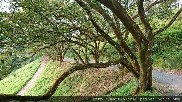 DSC_0367.jpg DSC_0367.jpg