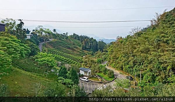 DSC_0375A.jpg DSC_0375A.jpg