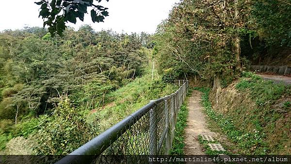 DSC_0376.jpg DSC_0376.jpg