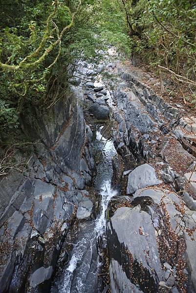 1L2A9044.jpg 1L2A9044.jpg