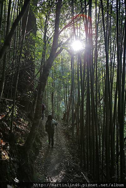 1L2A9048A.jpg 1L2A9048A.jpg