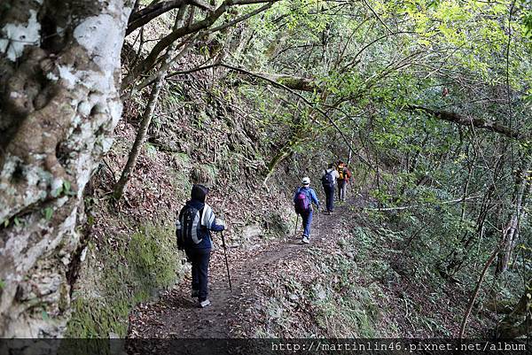 1L2A9051.jpg 1L2A9051.jpg