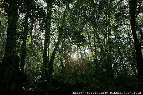 1L2A9063A.jpg 1L2A9063A.jpg