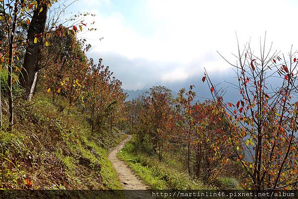 1L2A9081a.jpg 1L2A9081a.jpg