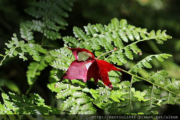 1L2A9105A.jpg 1L2A9105A.jpg