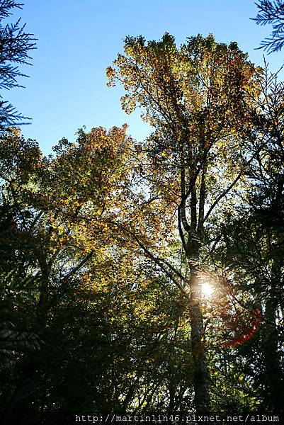 1L2A9088A.jpg 1L2A9088A.jpg