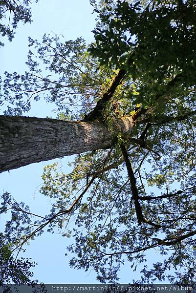 1L2A9124.jpg 1L2A9124.jpg