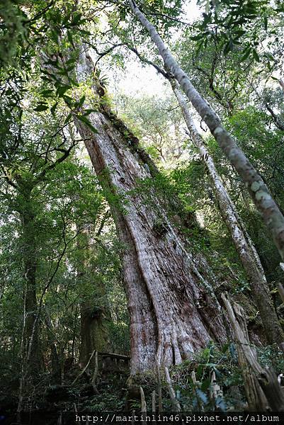 1L2A9137.jpg 1L2A9137.jpg