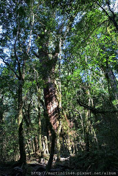 1L2A9145.jpg 1L2A9145.jpg