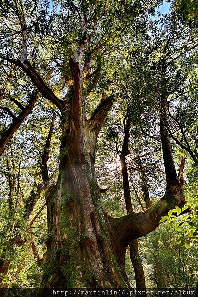 1L2A9171A.jpg 1L2A9171A.jpg