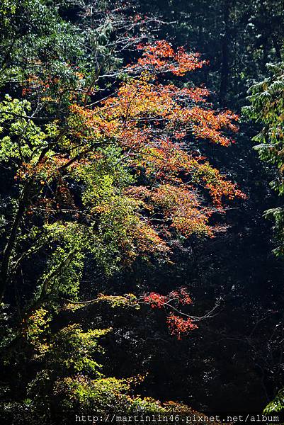 1L2A9190A.jpg 1L2A9190A.jpg