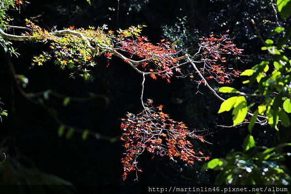 1L2A9196.jpg 1L2A9196.jpg