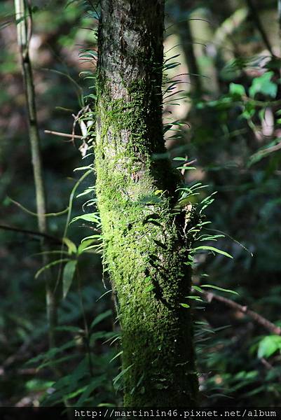 1L2A9224.jpg 1L2A9224.jpg