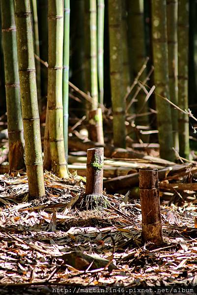 1L2A9244A.jpg 1L2A9244A.jpg